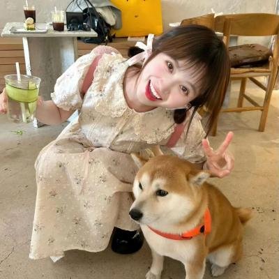 换乘恋爱日本版